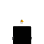 @dimond_ducky1