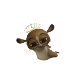 @dfgghkbui