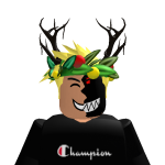 @robotmaster178