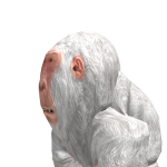 @DanielPlaysGame_YT