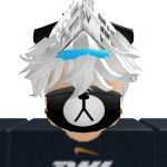 @transformesoptimus11