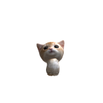 @RaidFTF