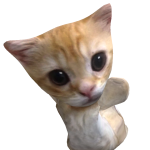@teddybearbaby9
