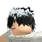 @roblox_user_528434481