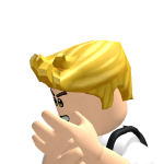 @bastionws