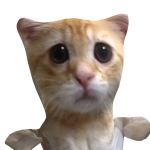 @Rainbowlee9000