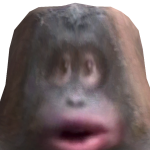 @juan01juan