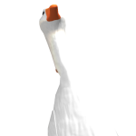 @Gracethegoose1