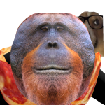 @lennon6054