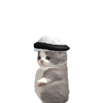 @aoOopy2233