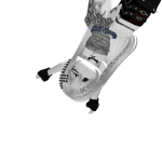 @0iitxddy_bearii0