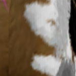 @shadow4065