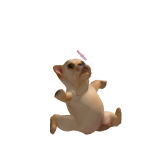 @Baby_Latte64