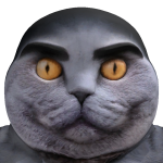 @roblox_user_493834246