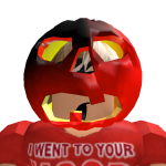 @2enderninja29br0