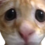 @fartunicorndogthing