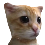 @Lunxite