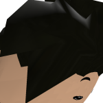 Ninjastrike407