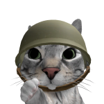 @shadowroblox00