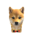 Woof67