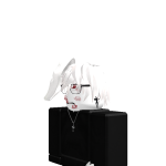 @RobloxLeevAv
