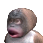 @Dnndshs
