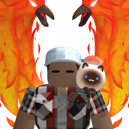 Punkiplier24
