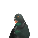 @guner531