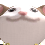 @jjpirate1
