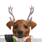 @fuser3000