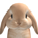@WPX_SpartanCJ