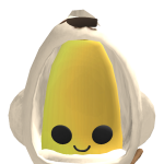 @pate4565