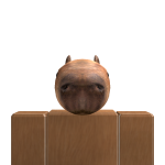 Endercat207