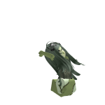 @Wolfpack201525