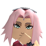 @kuiirs