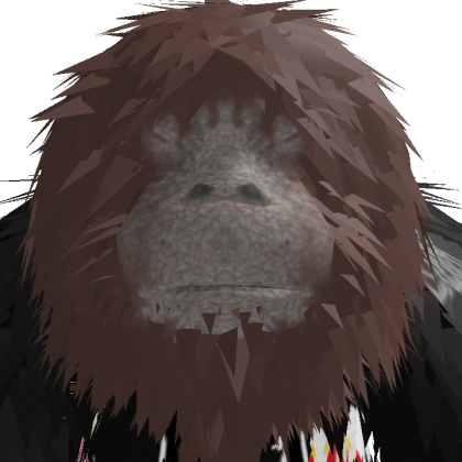Roblox profile picture for @lilrickzn