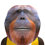 @TheRealGuy_001