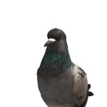 @kris_robloxkris