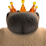 @Robloxco0lgame
