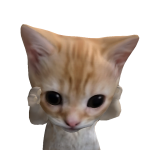 @11k_zebraxx