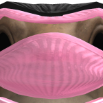 @TAYSW0R1DDD