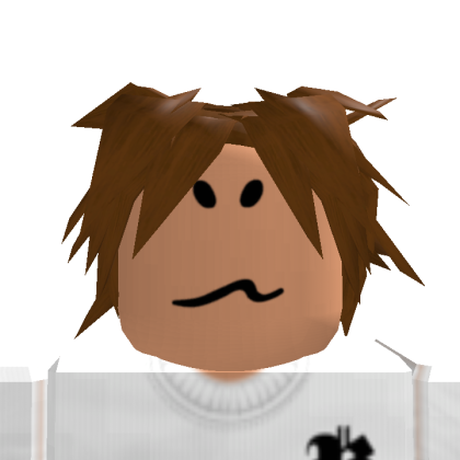 hiroblox0022