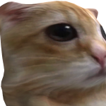 @OrsoShhh