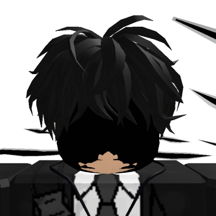 Roblox profile picture for @ljchr