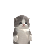 @newjeans_support