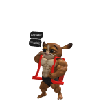 @X9RR_RBLX