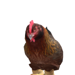 @Jeb_fishfriend2025