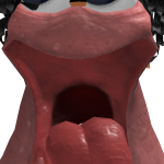 @BIockShodow