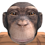 @nick3slayer
