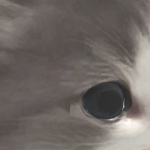 @elsepotato